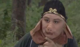 猪八戒视频,奇幻冒险之旅，探寻取经背后的故事